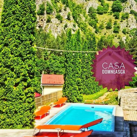 Vila Casa Domneasca Baia de Fier Exteriér fotografie