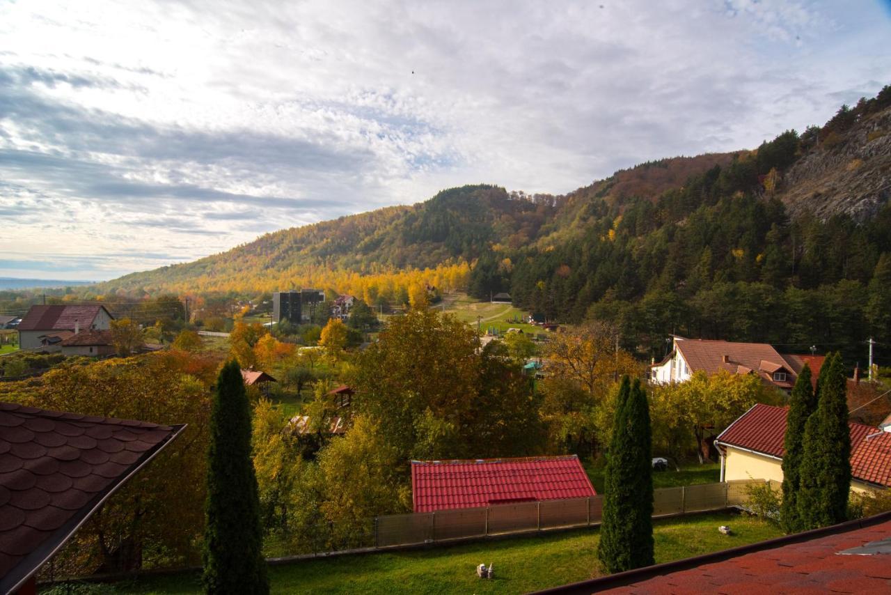 Vila Casa Domneasca Baia de Fier Exteriér fotografie