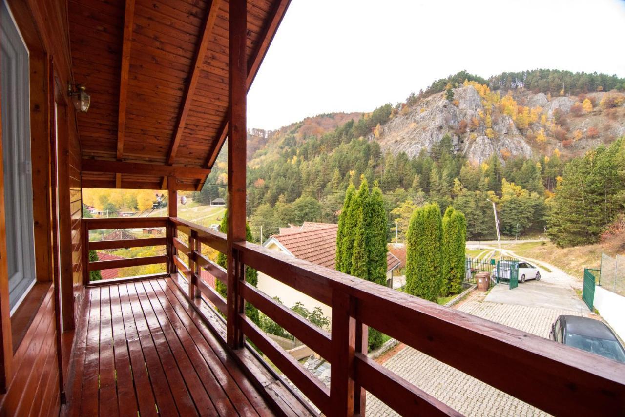 Vila Casa Domneasca Baia de Fier Exteriér fotografie