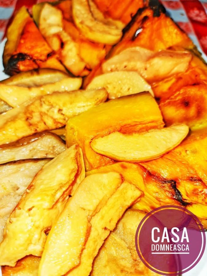 Vila Casa Domneasca Baia de Fier Exteriér fotografie
