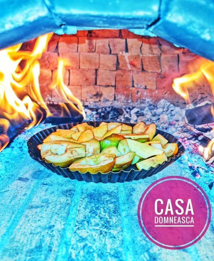 Vila Casa Domneasca Baia de Fier Exteriér fotografie