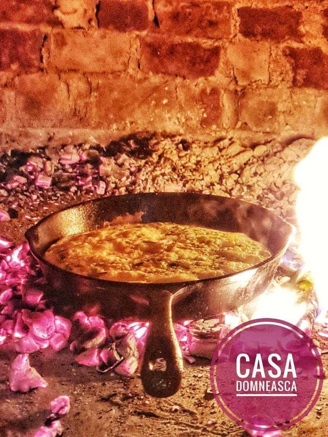 Vila Casa Domneasca Baia de Fier Exteriér fotografie