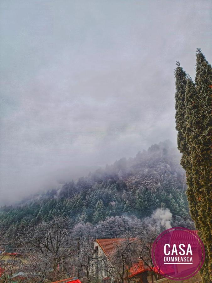 Vila Casa Domneasca Baia de Fier Exteriér fotografie