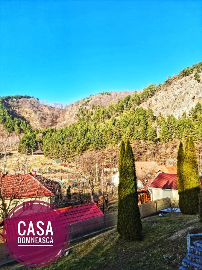Vila Casa Domneasca Baia de Fier Exteriér fotografie