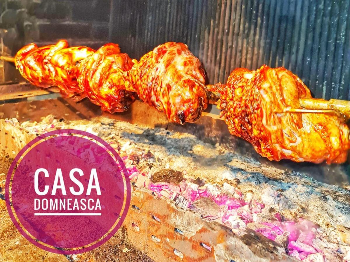 Vila Casa Domneasca Baia de Fier Exteriér fotografie