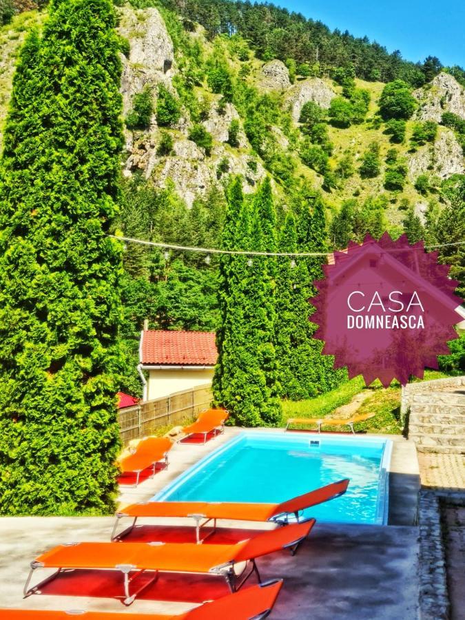 Vila Casa Domneasca Baia de Fier Exteriér fotografie
