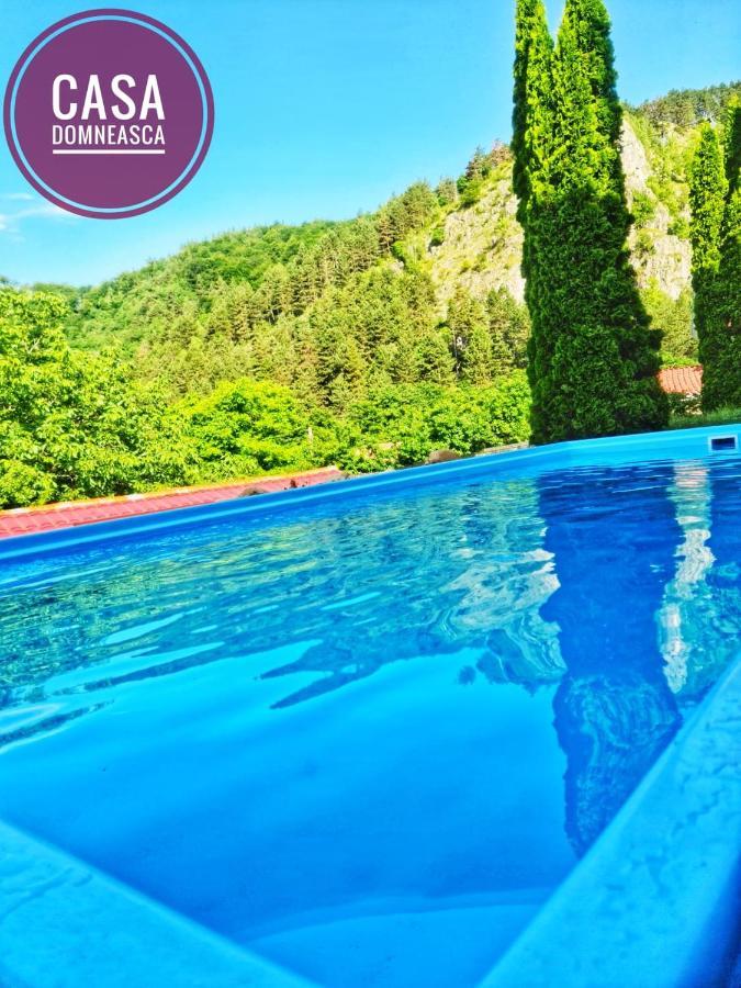 Vila Casa Domneasca Baia de Fier Exteriér fotografie
